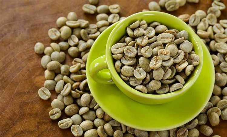 دون سبز قهوه ربستا